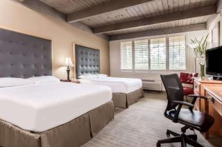 Prodigy Hotel, a Days Inn by Wyndham - Davis - 3