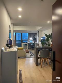 Luxury Entire 1B flat in ChangNing - Shanghai - 6