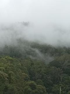 Mount plaza ohiya - Ohiya - 0