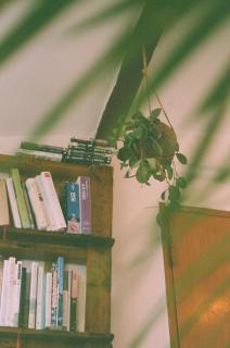 Shanti Shanti Guest House - 1