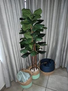 The Green Fig BnB - Pietermaritzburg - 2