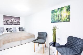 Super Central - Fresh and Modern - 0