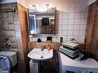 Ferienwohnung Bad Säckingen Wallbach an der Goldküste vom Rhein - 1