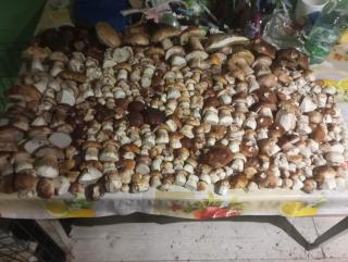 Dom pod Matyską - 9