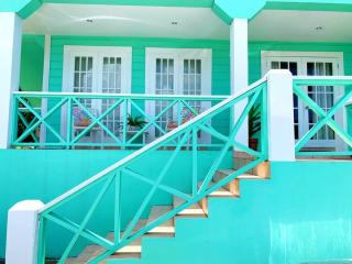 Jolly Holiday Apartment 1-A - Jolly Harbour - 3