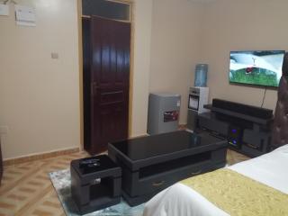 TheGodvari Executive Studio Apartment in Elgon View, Eldoret near Sports Club - Eldoret - 2