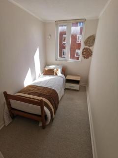 Precioso departamento con vista al volcán - 3