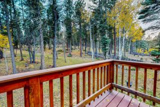 Bear Haven - Angel Fire - 1
