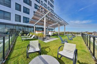 Upscale 1BR MIT Harvard WiFi Gym W D Parking - 5