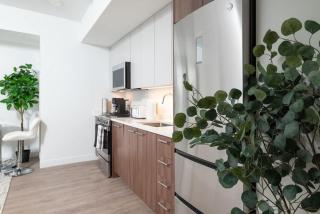 Lux Studio 2xQueen beds Gym near MIT Harvard - Cambridge - 1