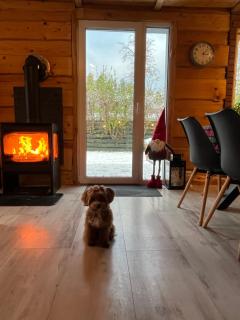 Pogodny domek Kopalino z balią - 2