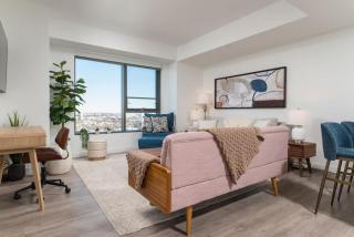 Upscale Penthouse near MIT Harvard Central Square - 2