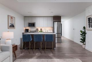 Upscale Penthouse near MIT Harvard Central Square - 4