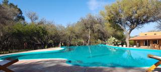 Las Casitas, cabañas & suites - 9