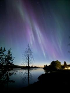 Villa Kosmik Riverside - 1