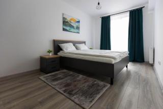 Dominic Junior Apartment Sighisoara - 3