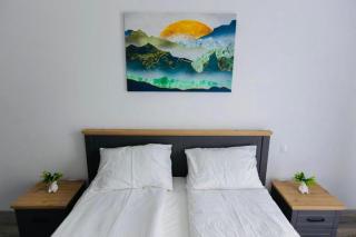 Dominic Junior Apartment Sighisoara - 2