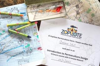 El Zopilote - Balgue - 3