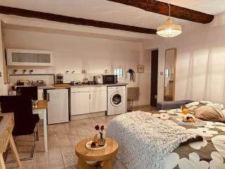 Studio Oasis de paix centre Aix en Provence - Aix-en-Provence - 6