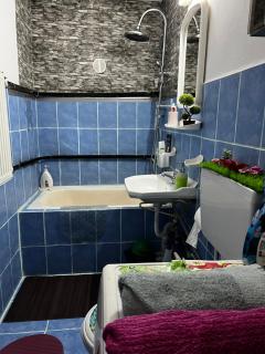 Apartamentul Flore - Oradea - 1