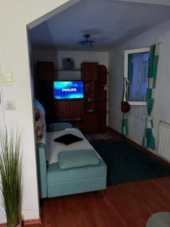 Apartamentul Flore - Oradea - 5