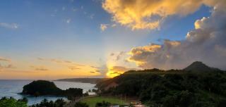 Beez Haven ocean view - - 9