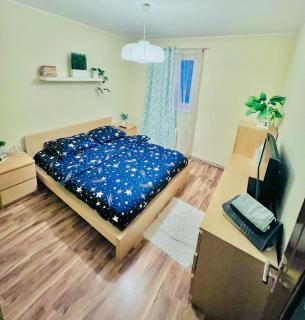 Middle of the boulevard - 8