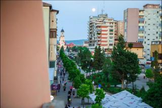 Middle of the boulevard - Alba Iulia - 8