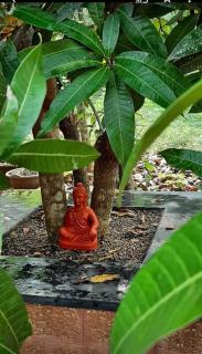 Elysium Homes - Thekkumkara - 5