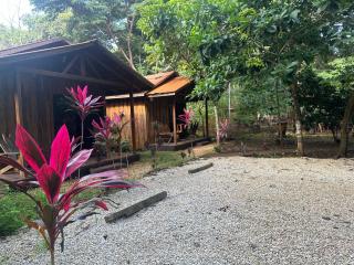 Finca Avellanas - 0