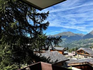 Résidence LE DE 3 - 2 Pièces pour 5 Personnes MAE-8921 - Aime La Plagne - 4