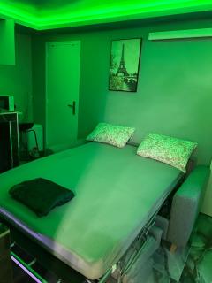 The most beautiful studio - Bagnolet - 3