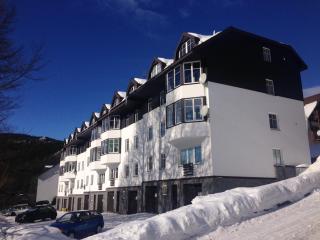 Pension and Apartments MONIKA - 5
