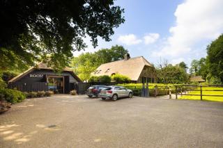 Luxe Hofstede met paardenstalling - Lunteren - 4