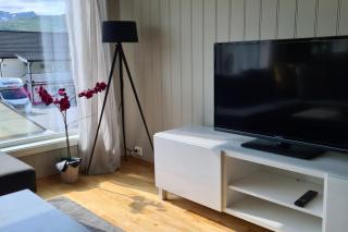 Big Luxury euroraapartment in Tromso &free parking - Tromsø - 1