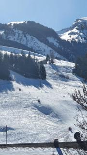 Wildhaus Ferienwohnung - Wildhaus - 3