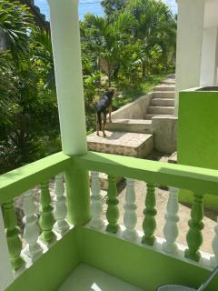 June’s comfort paradise - Runaway Bay - 8