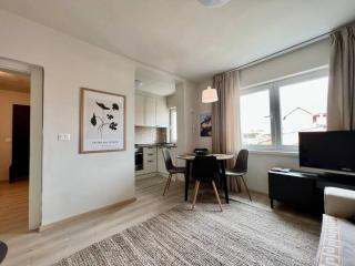 Newly Renovated Urban Oasis - Tirana - 4