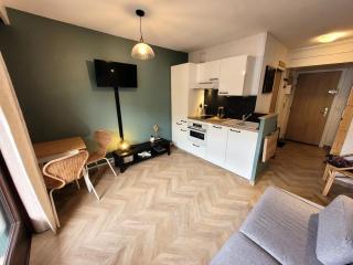 Résidence Ranfolly - Studio lumineux et cosy au cœur du village MAE-1361 - Les Gets - 8
