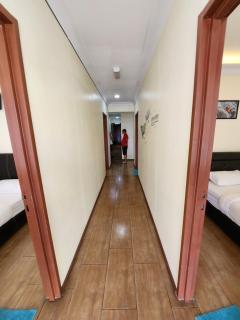 小海龟 Little Turtle Home - 3