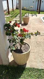 Casa de praia nova e completa em jaconé - 2