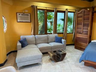 Jungle Meets Studio on 5th Avenue - Playa del Carmen - 3