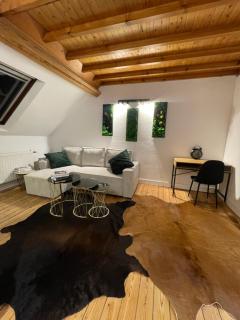 Attic European Quarter - Brussels - 1