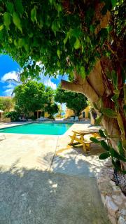 Appartement 8 & 9- Lagun blou resort - Curaçao - 3