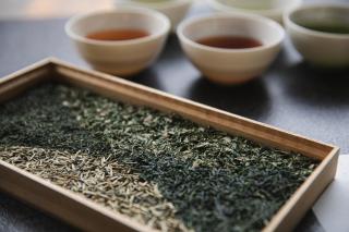 Ureshino Motoyu - Ureshino - 1