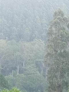 Mountplaza ohiya - Ohiya - 0