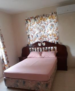CozyGetAway- US Embassy, MedPlus 10 mins away - Bridgetown - 8