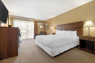 Best Western Oceanside Inn - 7