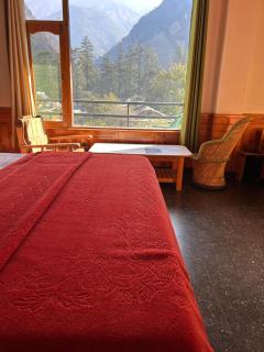 Ronak Hilltop Homestay Kasol - 8