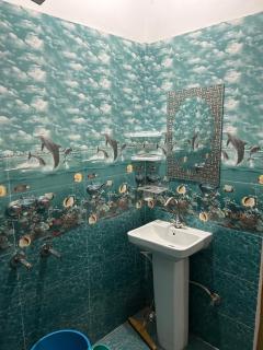 Ronak Hilltop Homestay Kasol - 4